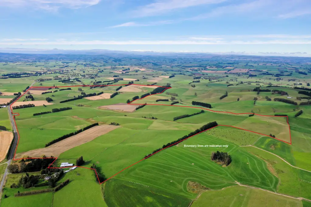 Waikaka Multiple Farming Options in a Great Location