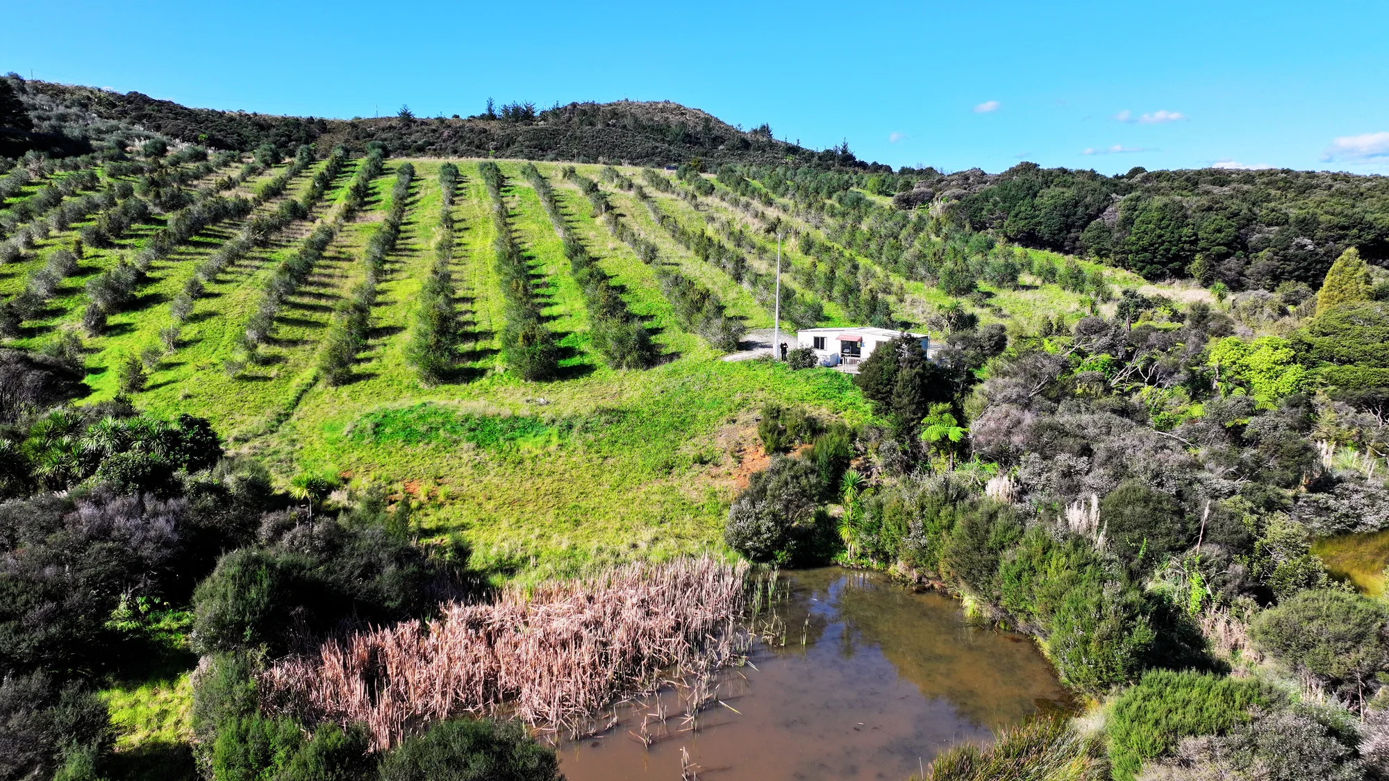 Mangonui 1Kwarto Hia Hia - Paradise Awaits!