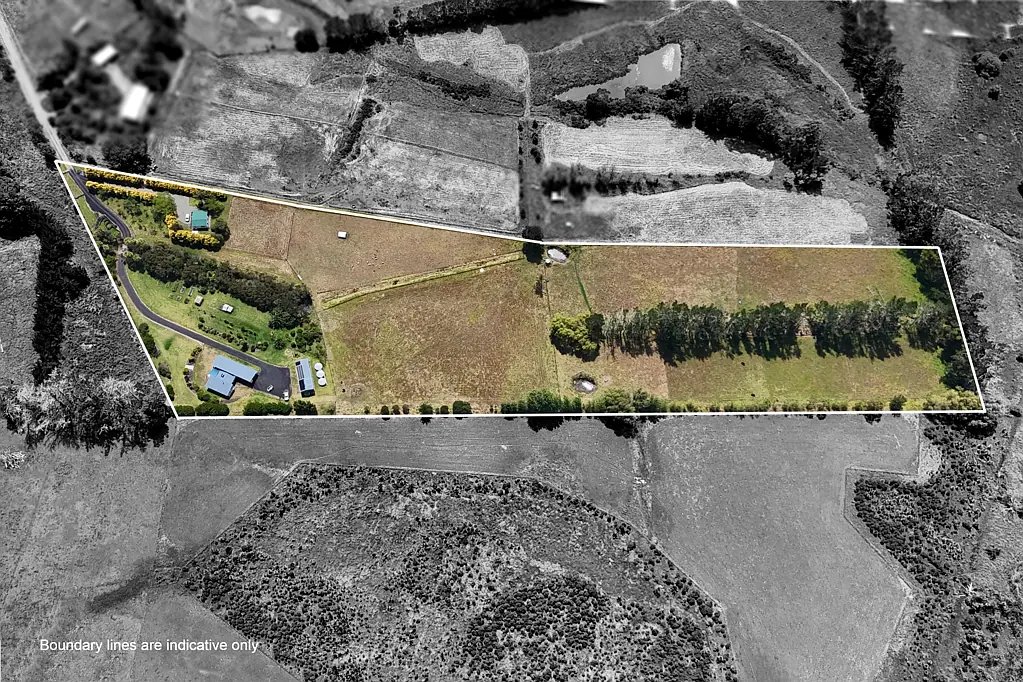 Mangawhai Tara Road: Big Land, Big Future!