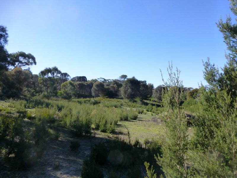 24 PARS RD, GREENS BEACH TAS 7270, 0 rūma, 0 rūma horoi, Section