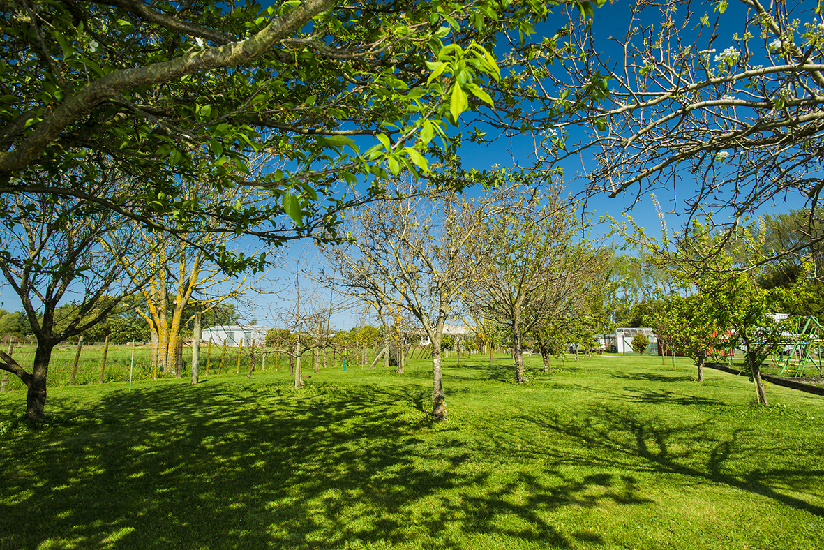 495a Nelson Road, Riverdale, Gisborne, 4房, 0浴