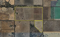 000 Tullys Lane, Mockinya
