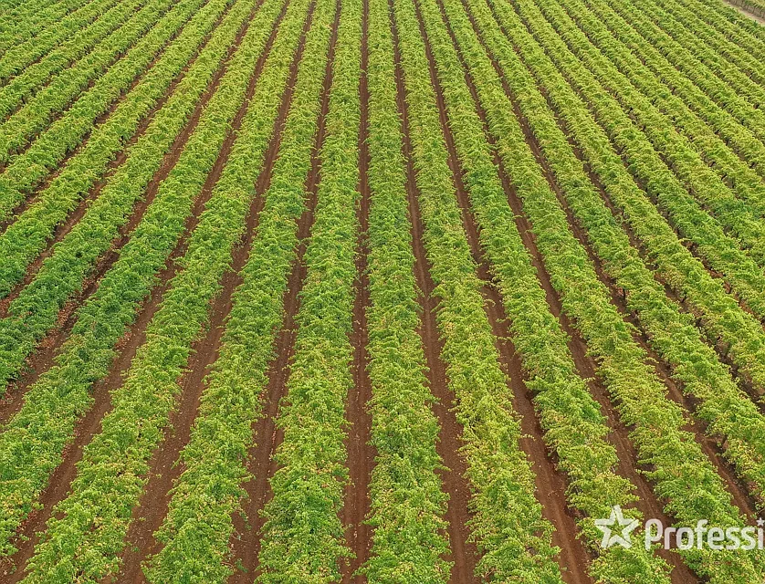 139 Paringi Road, Paringi Via, Monak, NSW 2738, 0 રૂમ, 0 બાથરૂમ, Lifestyle Property