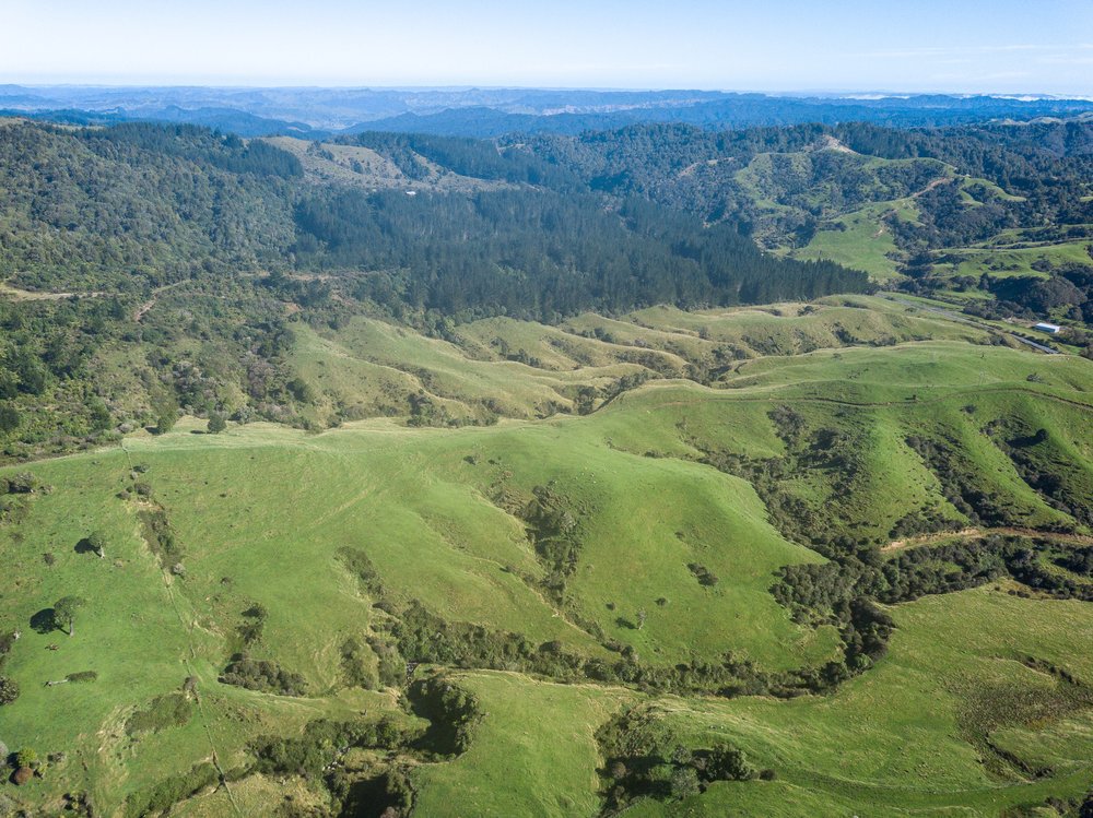 Kaitieke Road, Owhango, Ruapehu, 0房, 1浴, Grazing