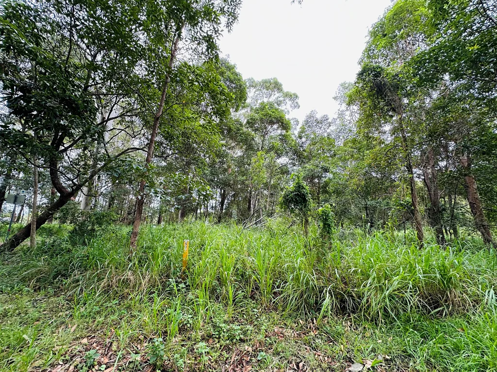 Russell Island 逃离尘世，拥有597㎡空地 位置优越Rocky Point近在咫尺 大自然环绕退隐理想之选 宽敞转角地块双向进入潜力 轻松岛屿生活享受隐私宁静 建造梦想家园绝佳机会！ Tranquil Island Living – 597sqm Corner Block