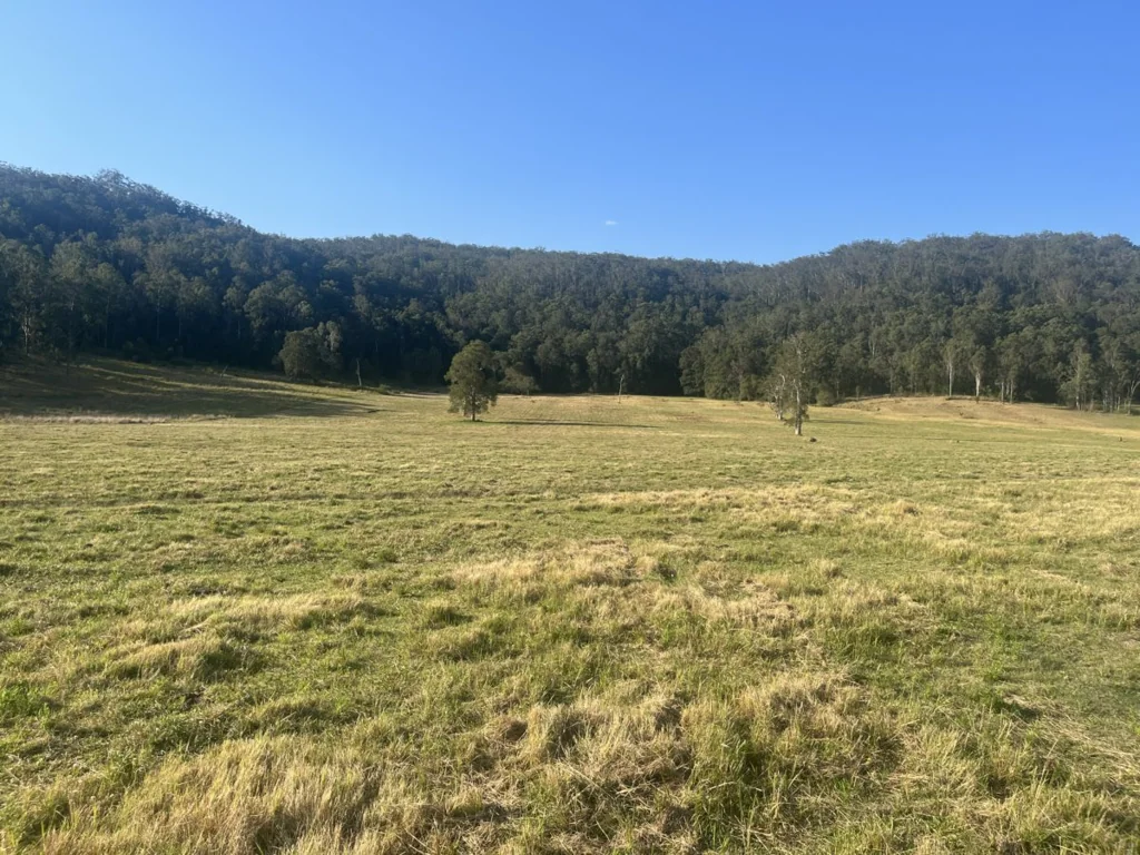 Upper Mongogarie  Farm for the Future