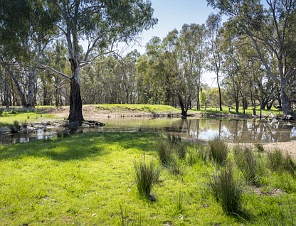 CA32 Baddaginnie-Benalla Road, Benalla, Wangaratta, 0 habitaciones, 0 baños, Lifestyle Property
