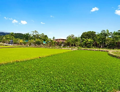 Address Withheld, White Rock, QLD 4868, 4 Schlafzimmer, 3 Badezimmer, Lifestyle Section