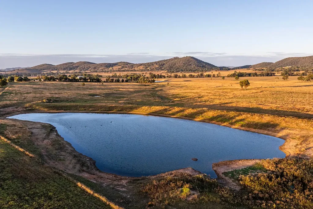 Mudgee Thistle Hill