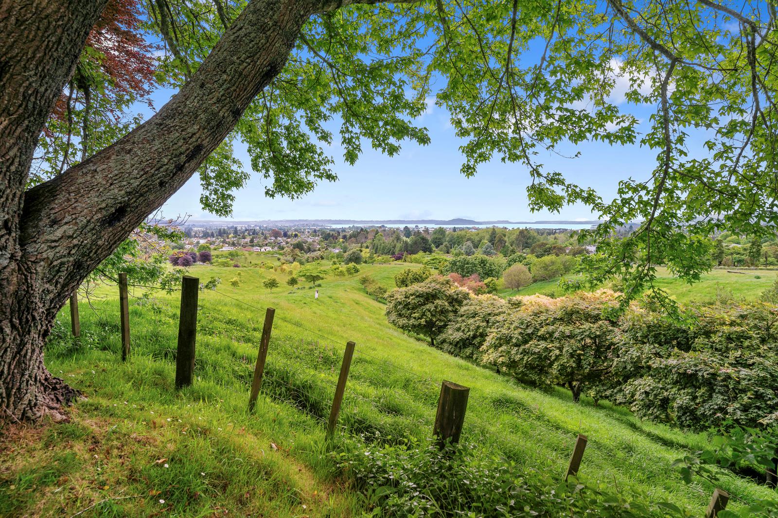 19 Exeter Place, Tihiotonga, Rotorua, 3房, 0浴, House