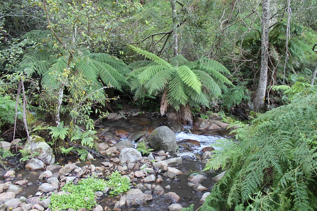 Braidwood Seclusion, Serenity & Solitude