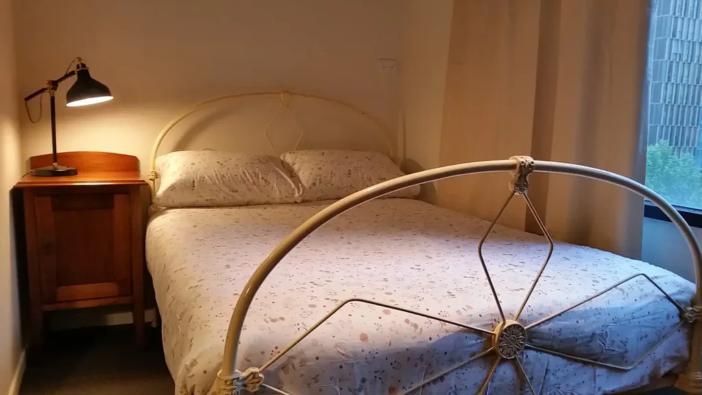 Melb CBD furnished studio apartment. Gas & water included in rental.