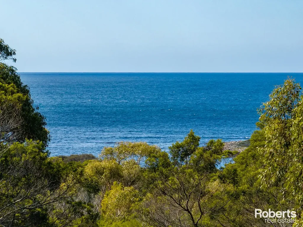 LOT 101/248 Harveys Farm Road, Bicheno, TAS 7215