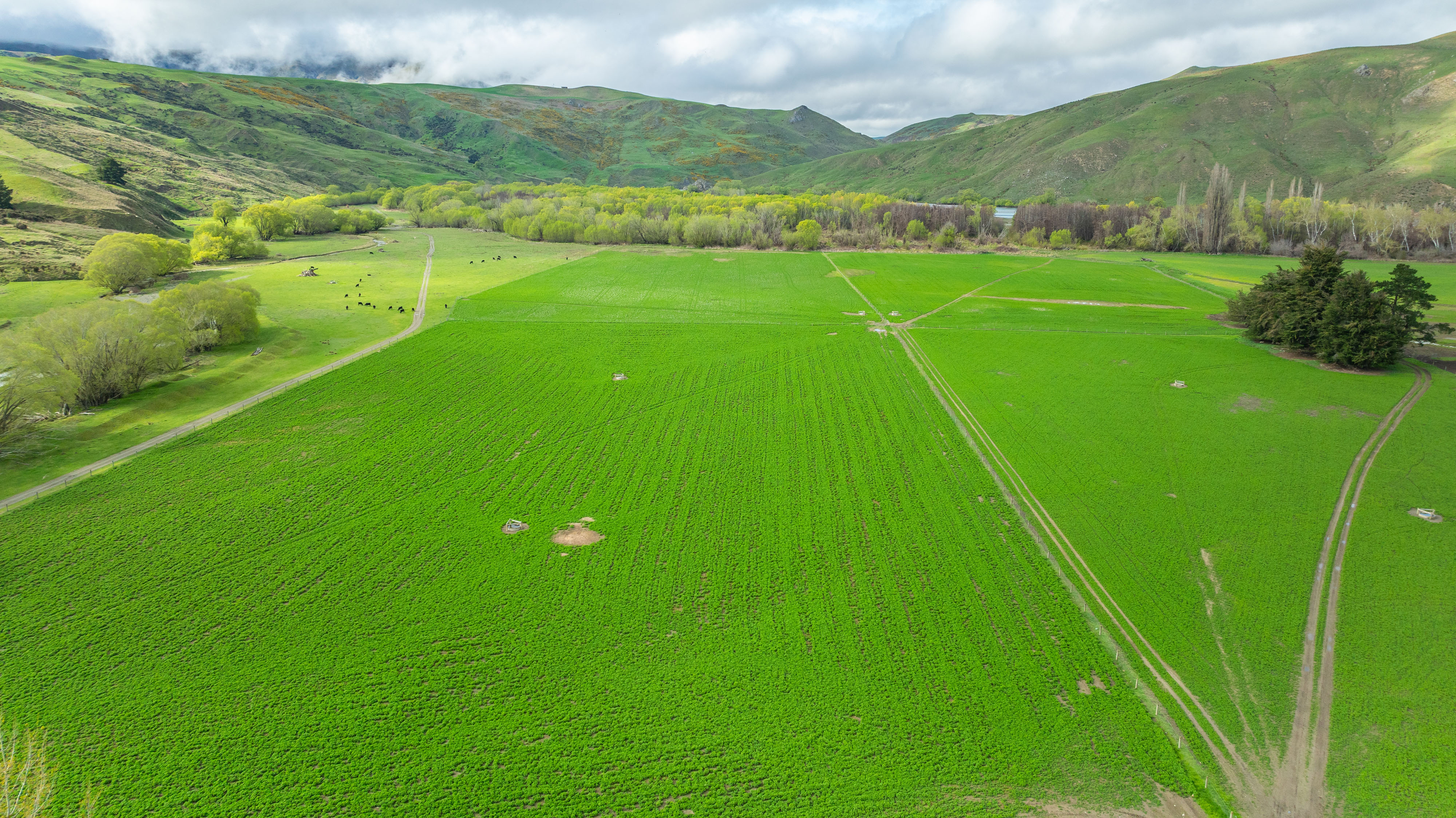 734 Leader Road West, Waiau, Hurunui, 0 રૂમ, 0 બાથરૂમ, Grazing