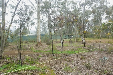 Adres Weerhou, Tarnagulla, VIC 3551, 0 slaapkamers, 0 badkamers, Lifestyle Property