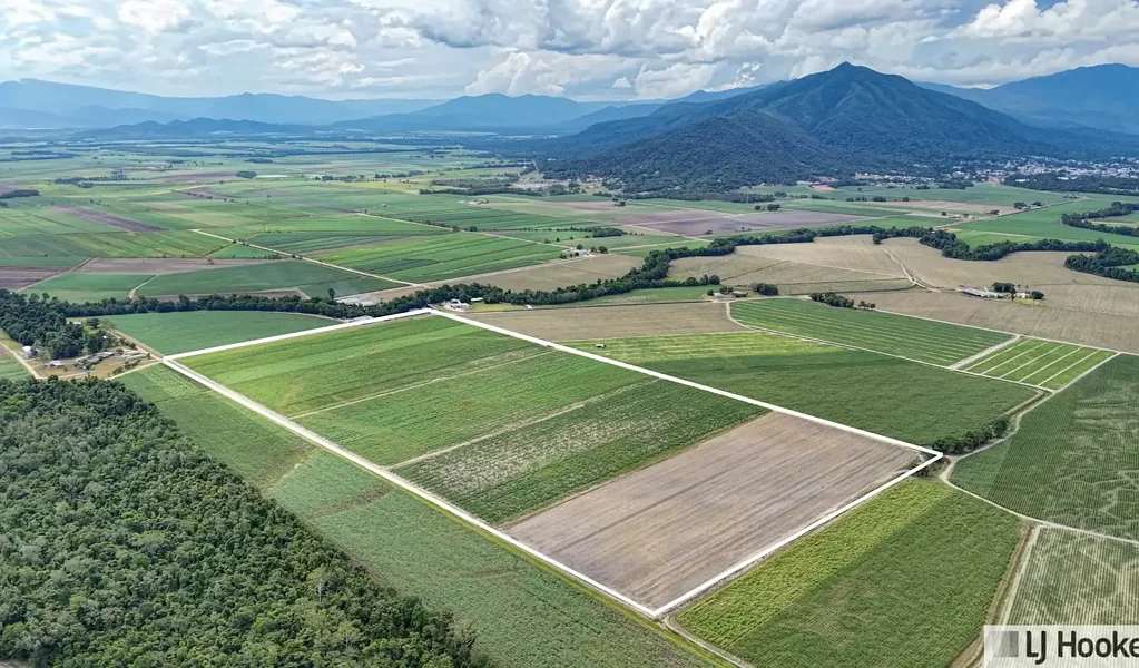 Silky Oak Approx. 75 Acres of Prime Farming Land