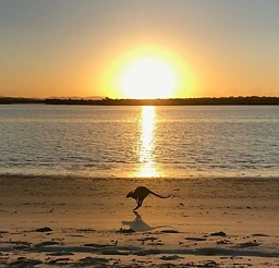 Lodge 45 Couran Cove Resort, South Stradbroke