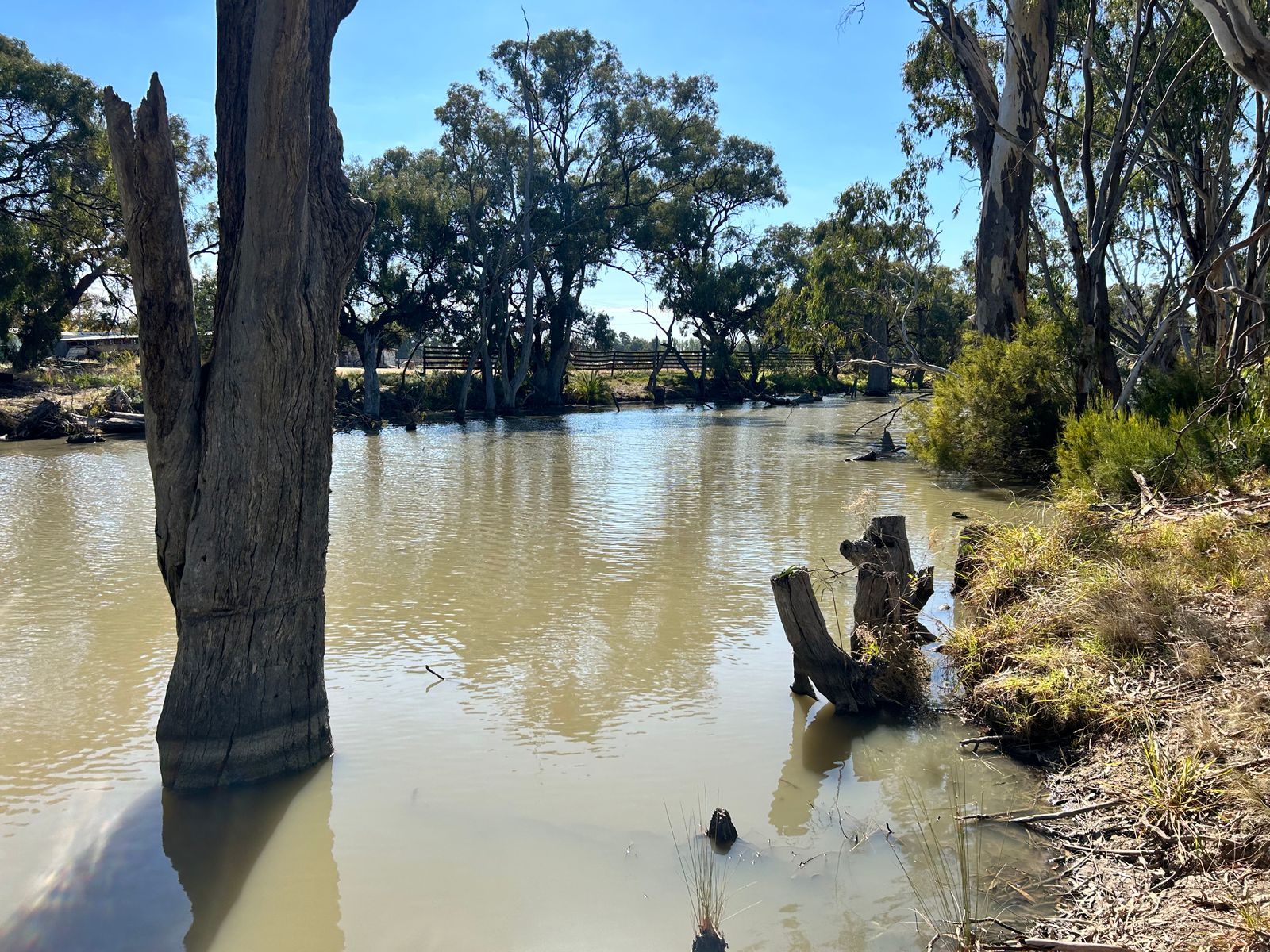 39 VINECOMBE LANE, BARHAM NSW 2732, 0房, 0浴, Section