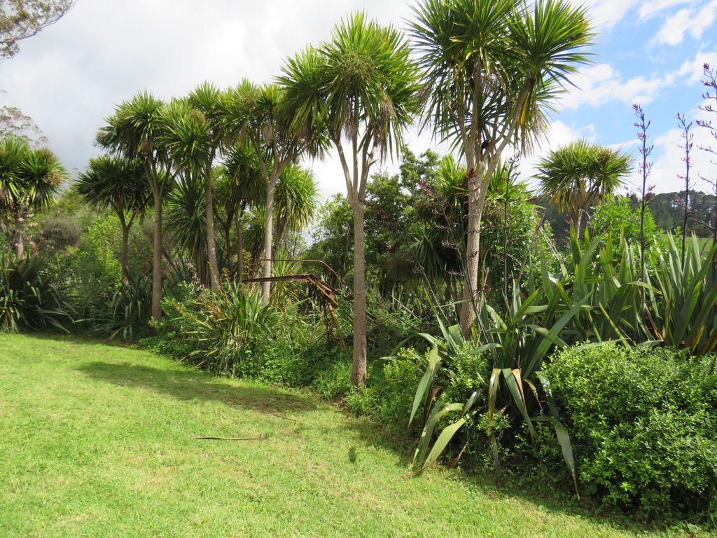 504b Wairere Road, Maungaturoto, Kaipara, 0 Bedrooms, 0 Bathrooms