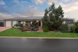 51 Aurora Circuit, Meadows