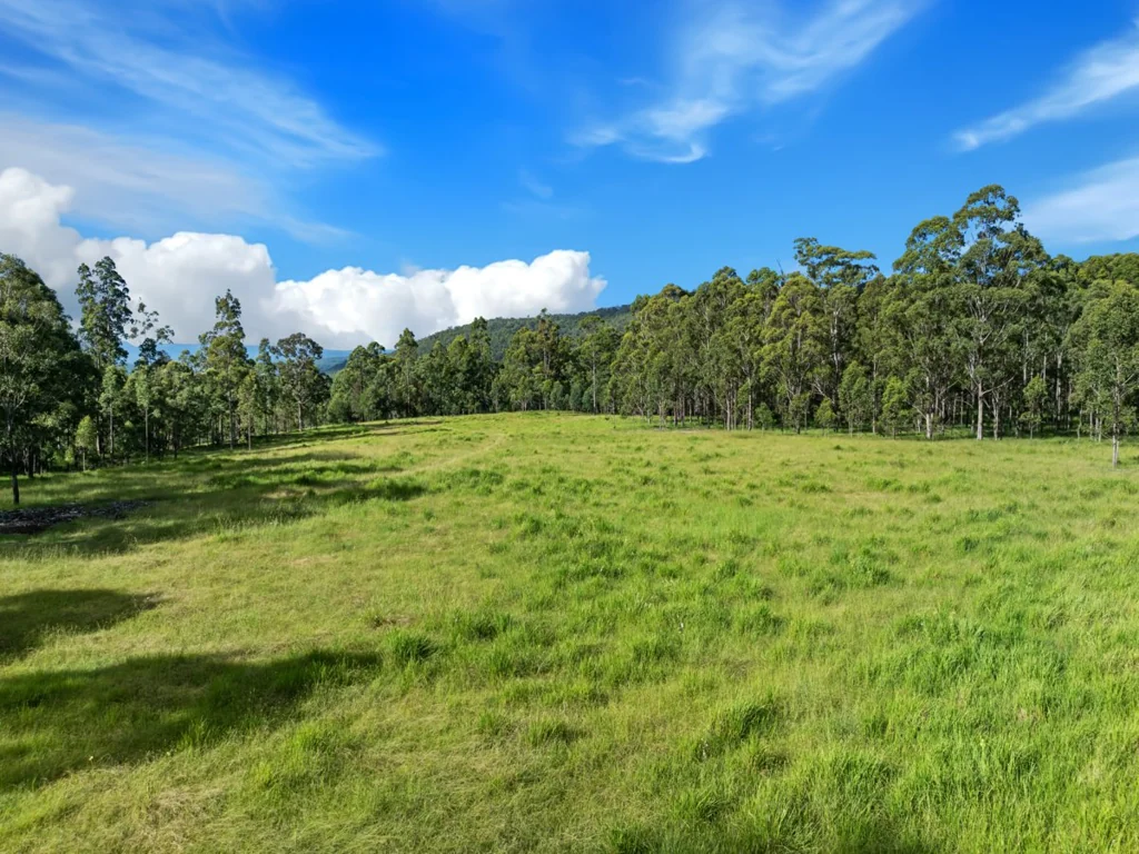 Duck Creek  Sizeable Grazing Opportunity