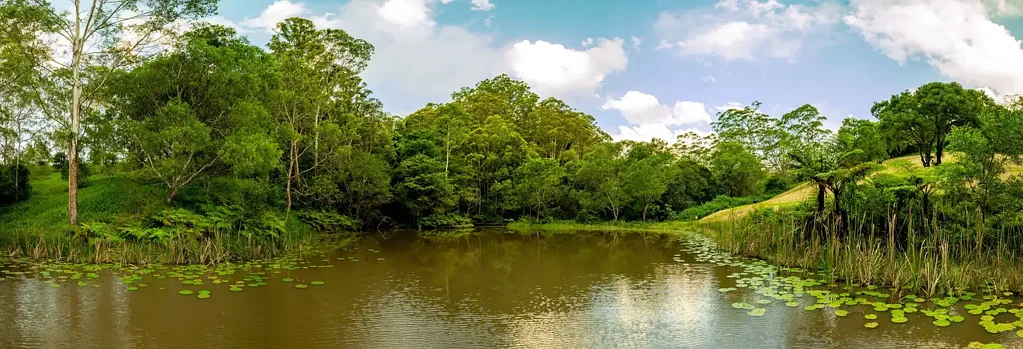 Witta 14ਬੈੱਡਰੂਮ Whispering Valley - A 45-Acre Hinterland Sanctuary Where Luxury Meets Nature