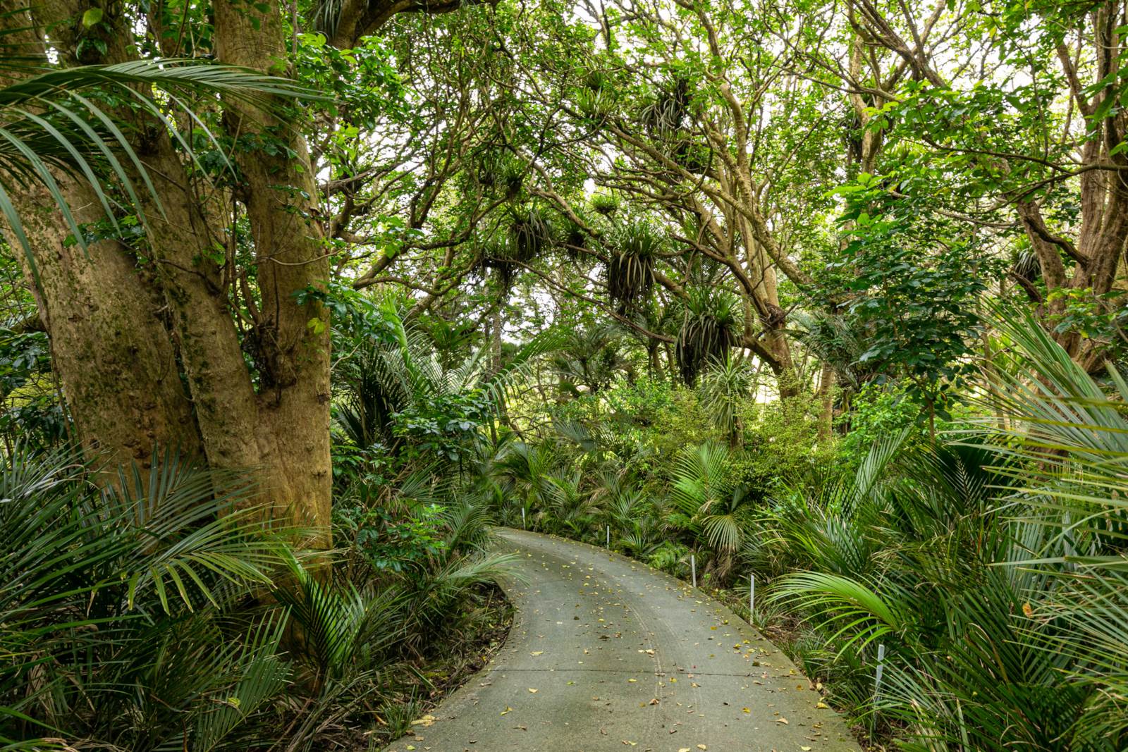 124 Pebble Brook Road, Waitoki, Auckland - Rodney, 4 Bedrooms, 0 Bathrooms