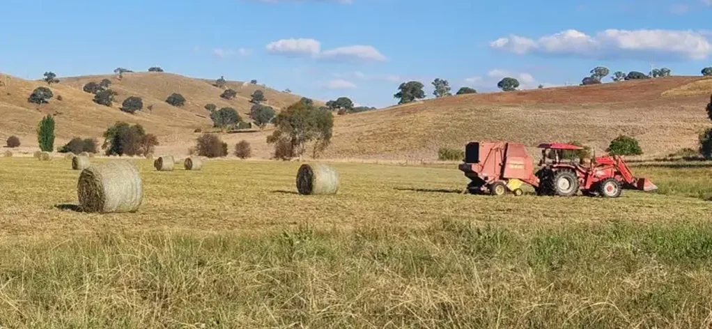 Lewis Ponds OPPORTUNITY TO OWN MIXED FARMING ON 60ACRES, 15 MINUTES FROM TOWN!