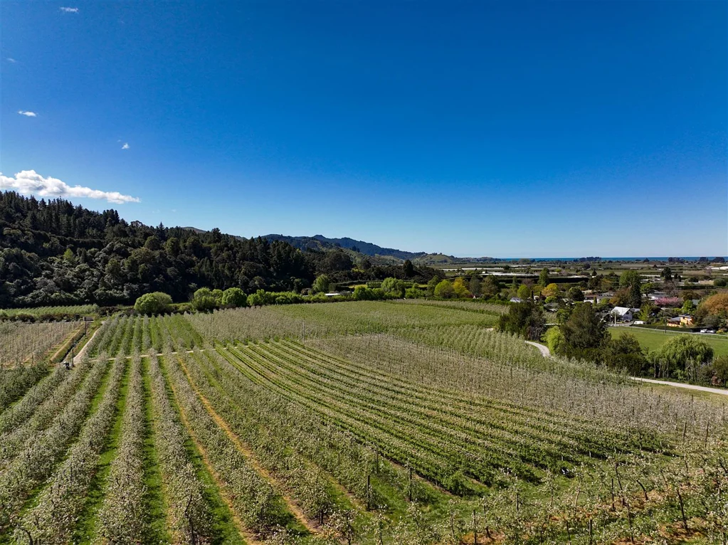 Motueka  Turnkey Productive Orchard Operation