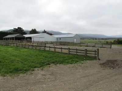 Rural B
