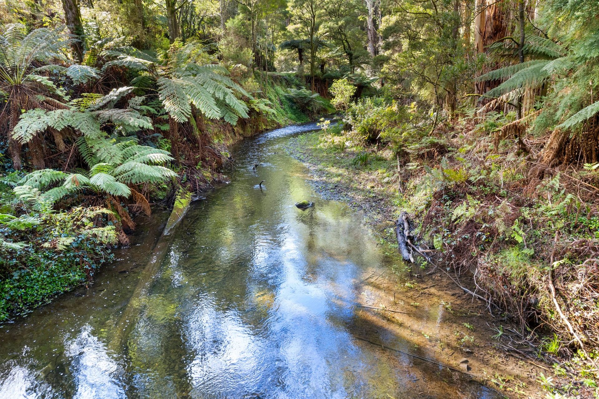 780 BARHAM RIVER RD, APOLLO BAY VIC 3233, 0 Schlafzimmer, 0 Badezimmer, Lifestyle Property