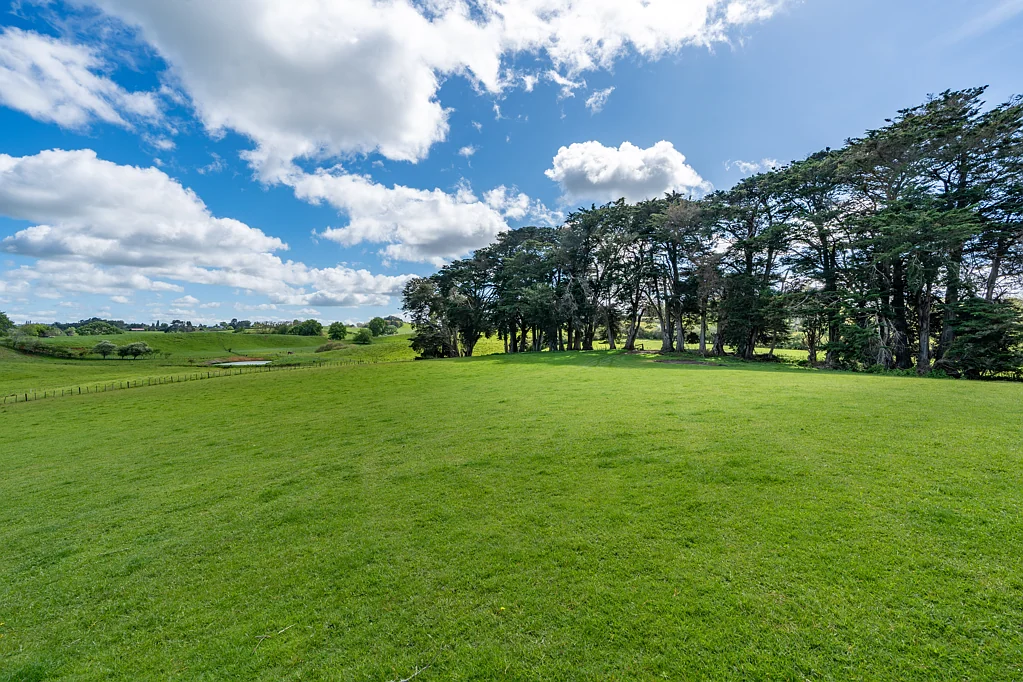 Temple View Blank Canvas. Big Potential