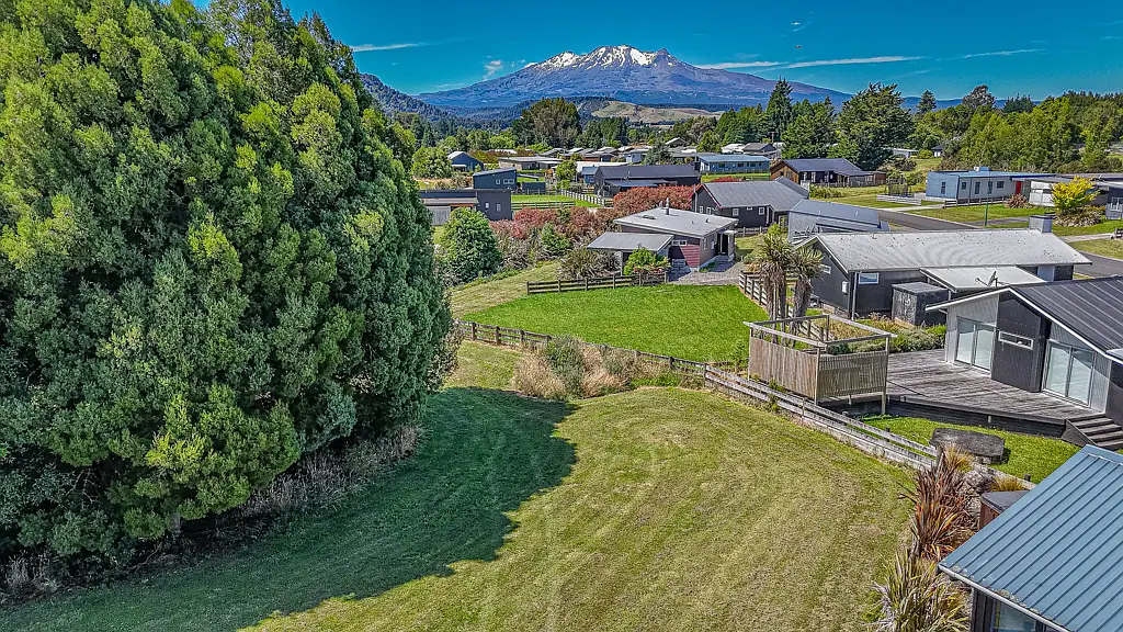 Ohakune Prime time on Cordyline