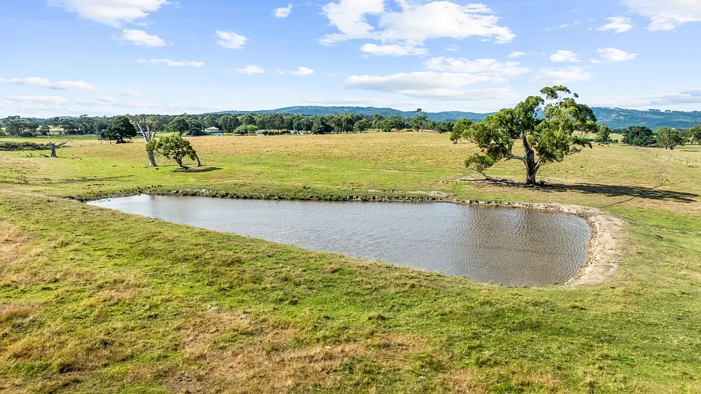 Hazelwood North 40 Acres of pasture