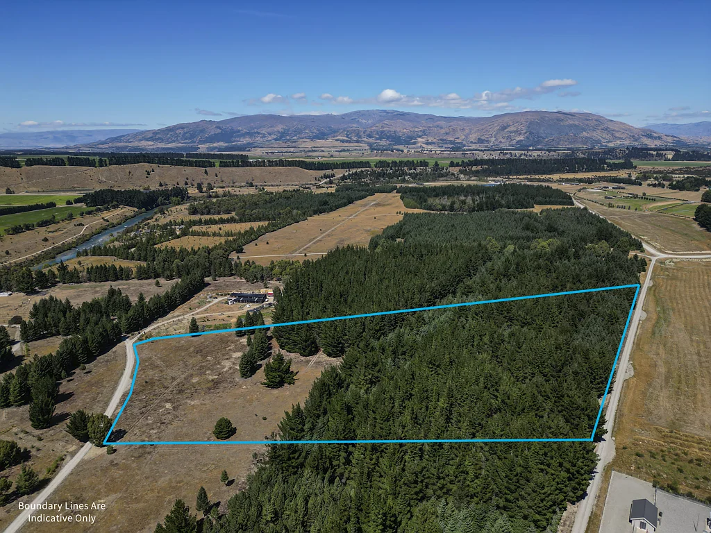 Hawea Flat Pining for Adventure