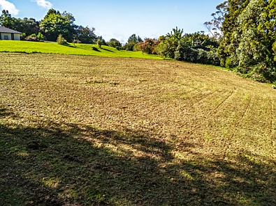 Kerikeri Lifestyle Starter with Potential