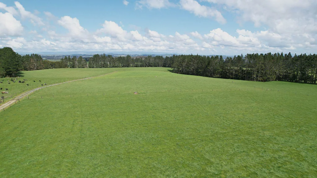 Kerikeri 82.9ha Prime Kerikeri Land