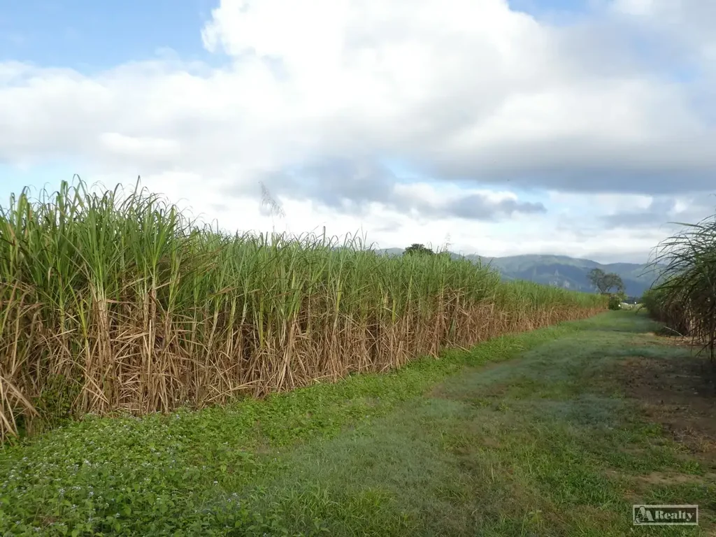 Midgenoo Midgenoo Sugarcane Farm