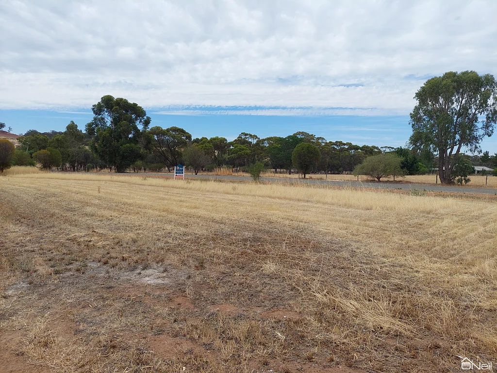 18 Channon Street, Williams, WA 6391