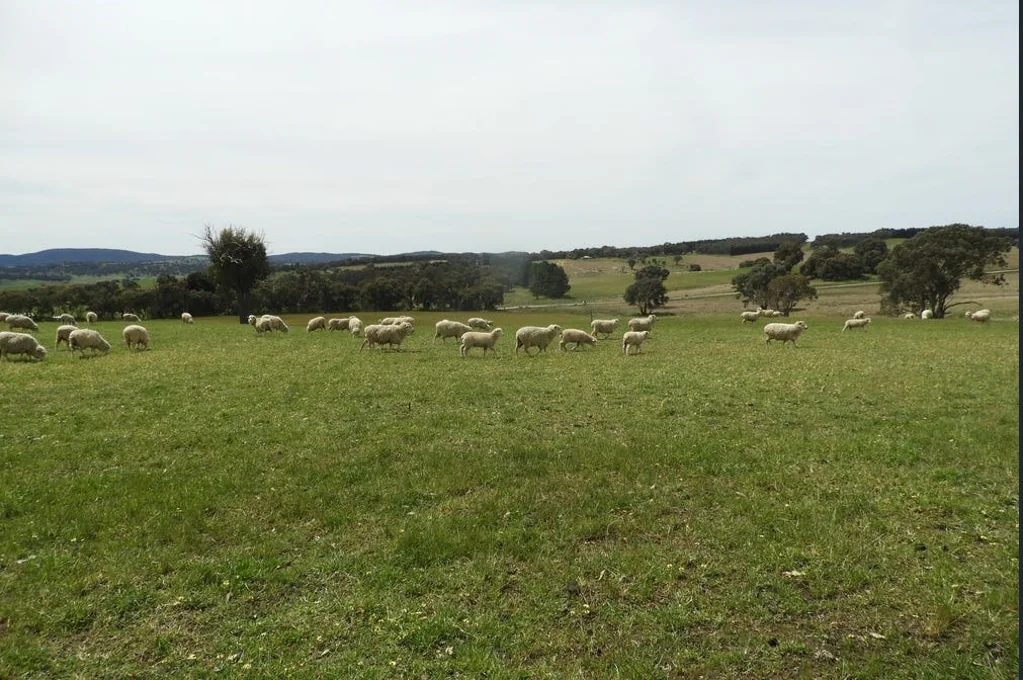 Crookwell – RURAL LIFESTYLE BLOCKS –