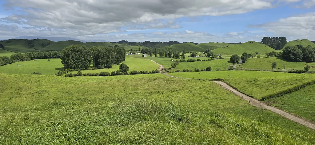 Toko  75 ha Toko dairy farm