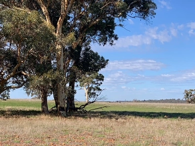 2 Maitland Road, Beverley, WA 6304, 0 Bedrooms, 0 Bathrooms, Lifestyle Property
