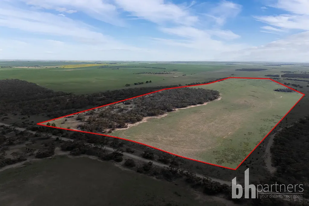 Bowhill  112 Acre Scrub Block, A Superb Rural Retreat!