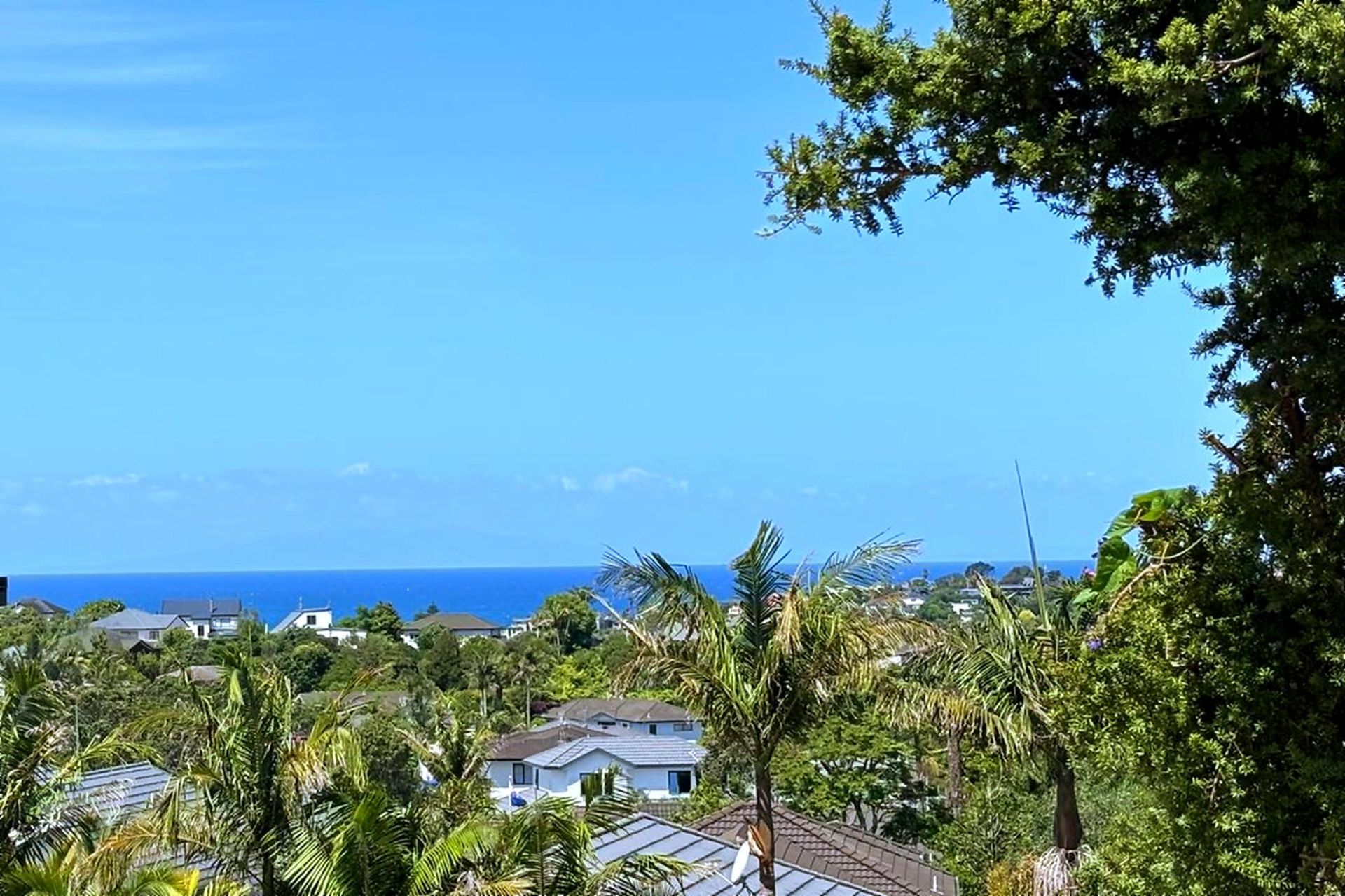 155 Glenvar Road, Long Bay, photo 5