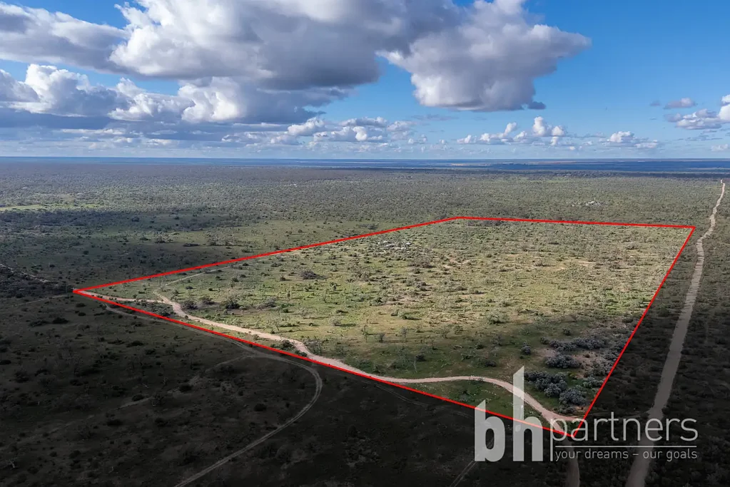 Fisher Great Scrub Block, 75 acres, Sheds, Mains water!