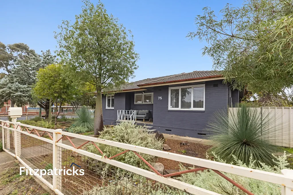 75 Ziegler Avenue, Kooringal, NSW 2650