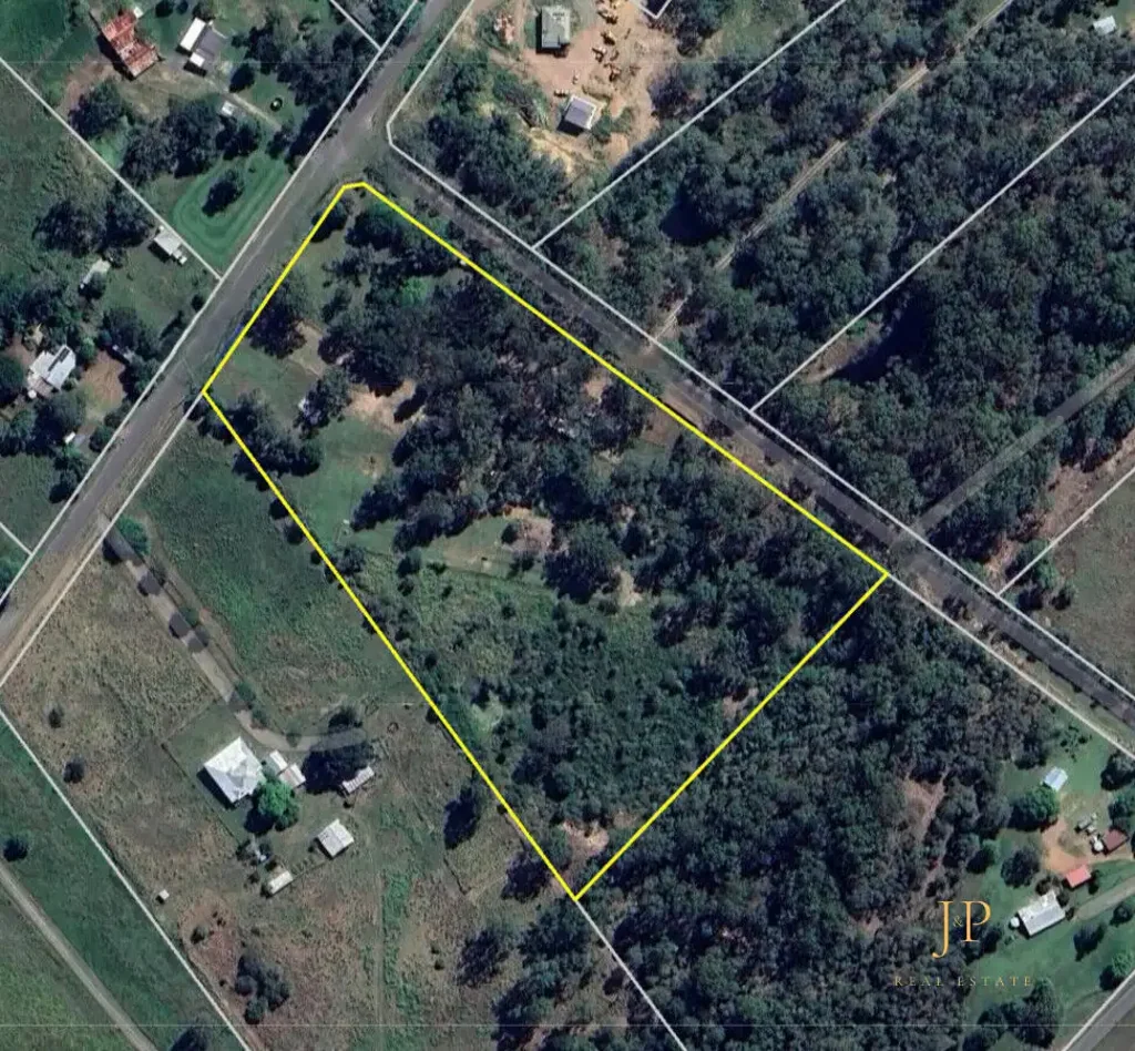Vernor Development Site potential!