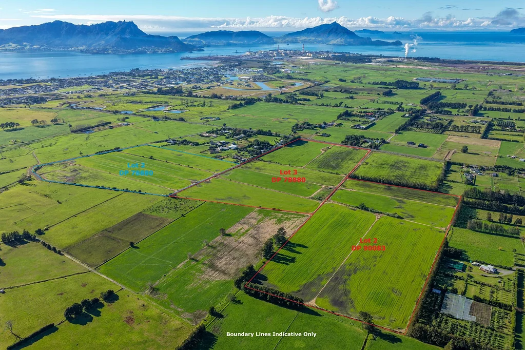 One Tree Point  32.5 HA RURAL LAND WITH HUGE POTENTIAL