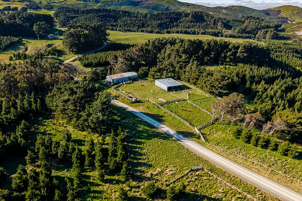 Pongaroa  Shedding and space to expand