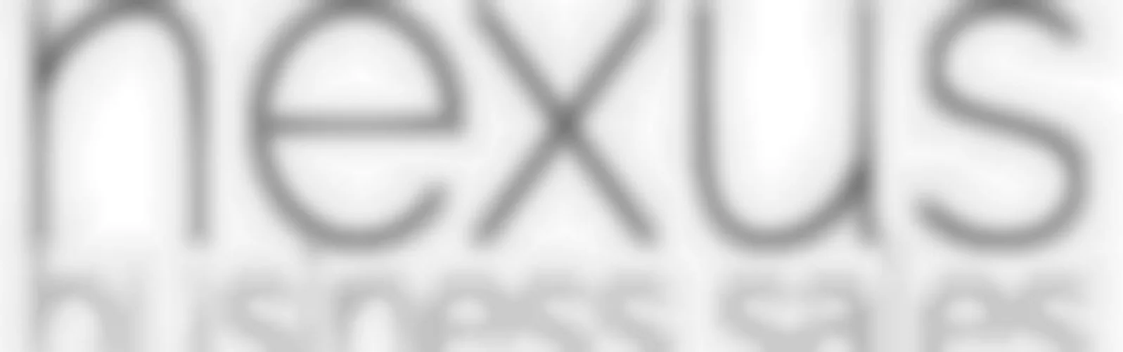 Nexus Business Sales Ltd (Licensed: REAA 2008) - Wanaka